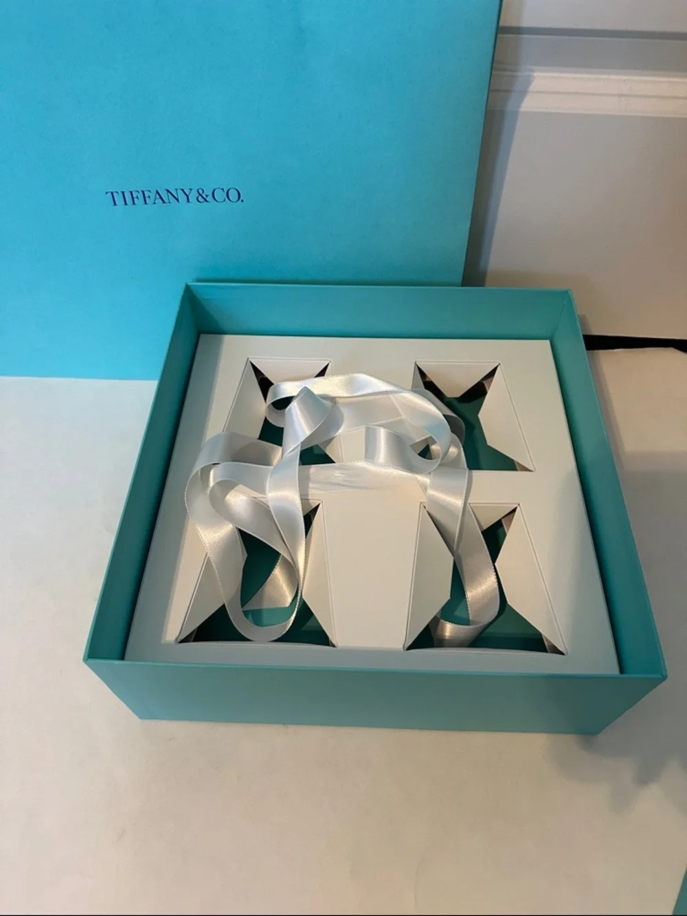 Large Tiffany & Co. Blue Gift Box and Shopping Bag